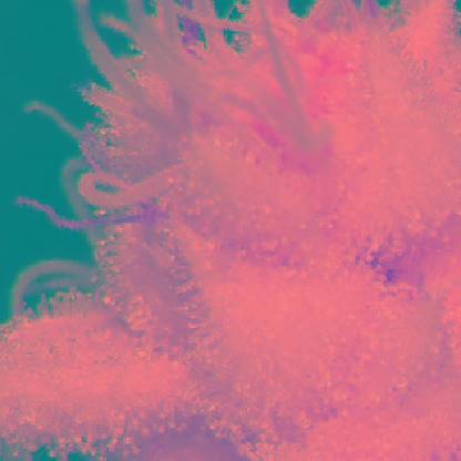 ab47d907482a31c1's avatar