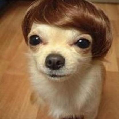 3K2mOV4y5bm7's avatar