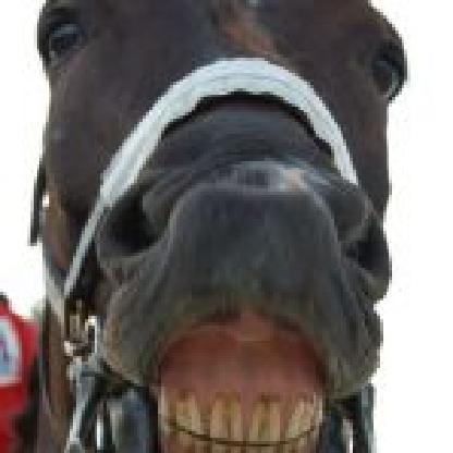 diogopolido's avatar