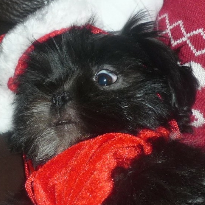 b8a6269abe57b8a3's avatar