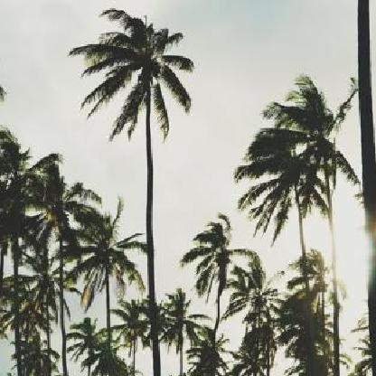 heroiinoname's avatar