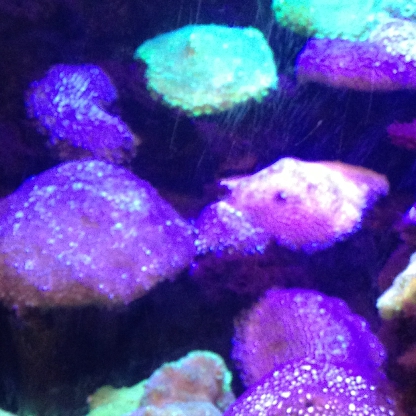 3dc33608419a1107's avatar