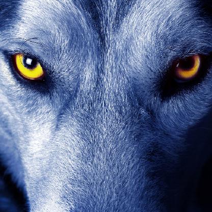 Wolfersama's avatar