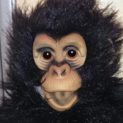 KumihoSR's avatar