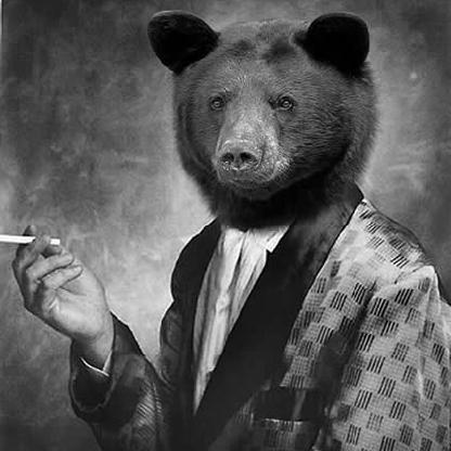 AClassyBear's avatar