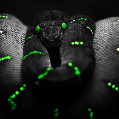 DESTRUCTORv93's avatar