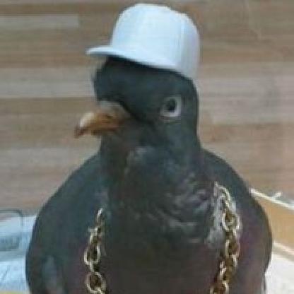 GaBro_the_rock's avatar