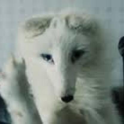 PeerTOED's avatar