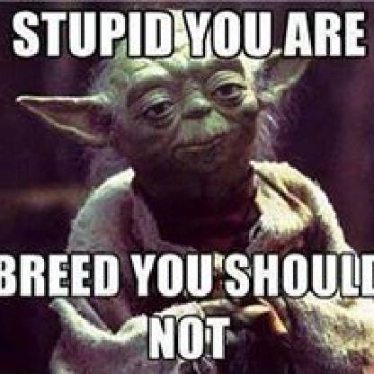 Real_Shredder_JR's avatar