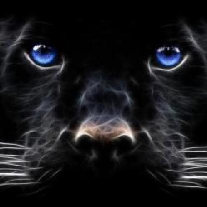 SEREN8TY's avatar