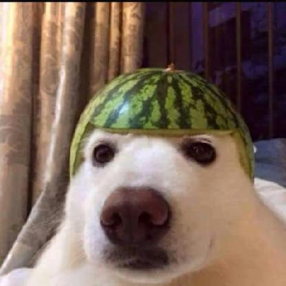 erenthewhite99's avatar