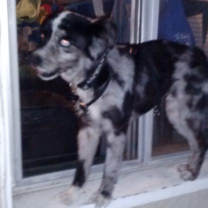 hidenLocus10's avatar