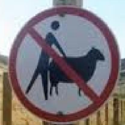 81b5c9fff7766554's avatar