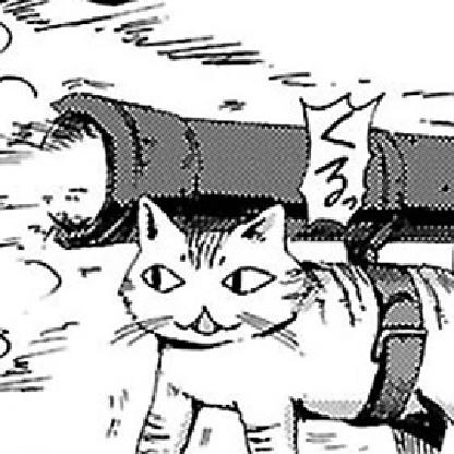 l-MeowMer-l's avatar
