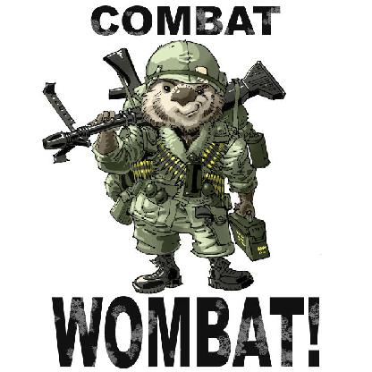 CombatWombat75's avatar