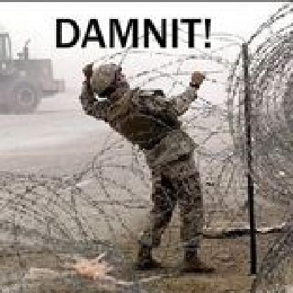 NINJA-GINGA100's avatar