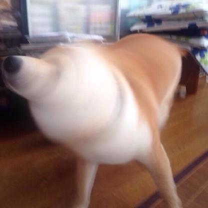 RobotSpiderman's avatar