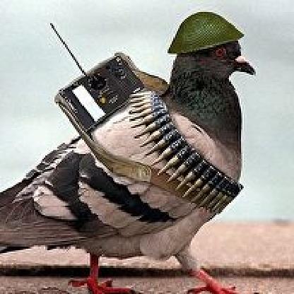 Perploxity's avatar