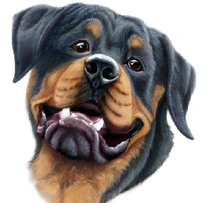 Hawkeye1981d's avatar