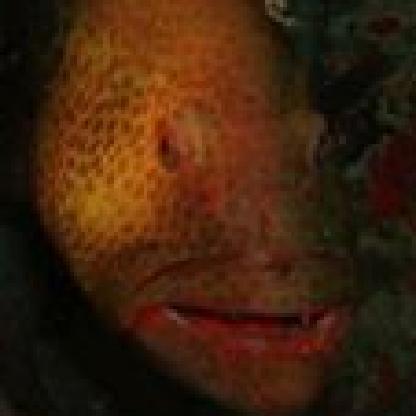 Wulfengrav74's avatar