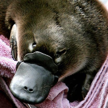 MEnTaL_BLasT's avatar