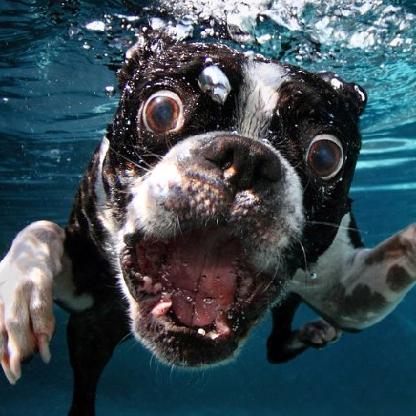 -LW-Tarzino's avatar