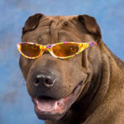 Arthritic_Hands's avatar