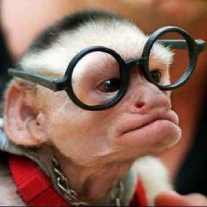 Rent-Spotting's avatar