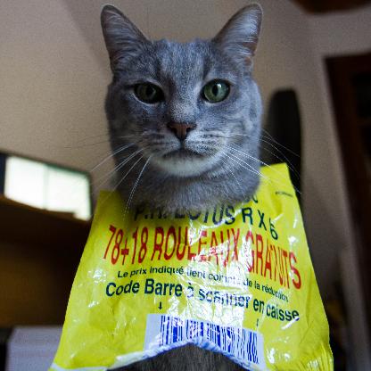 SQaD-AvatarNiko's avatar