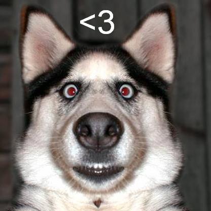 Cappo619's avatar