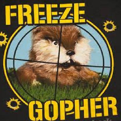 madgopher01's avatar