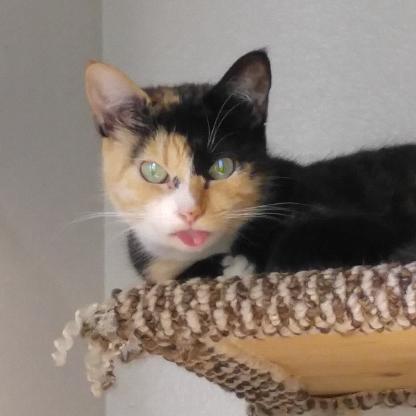 Siniestro117's avatar