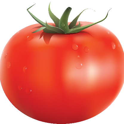 AshTomato's avatar