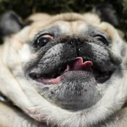 UltimateSpanky73's avatar