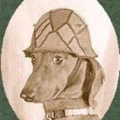 DominusRayka's avatar