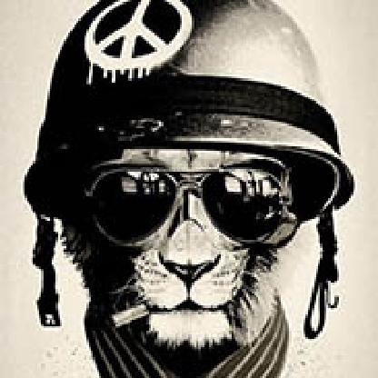 VellicChilli's avatar