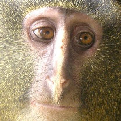 JustTheNicestGuy's avatar