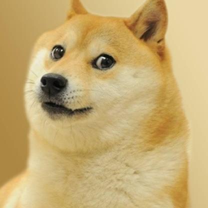 sellbear's avatar