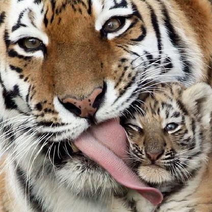 opyat_na_rabotu's avatar