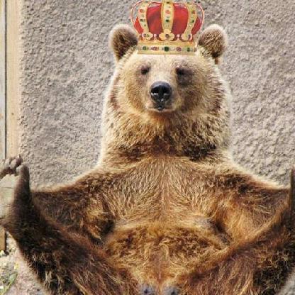 EmperorBrownBear's avatar