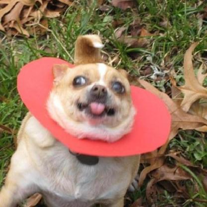 Waterbottles711's avatar