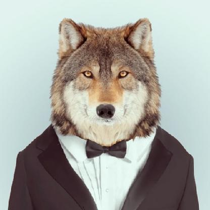 Krypt0W0lf's avatar