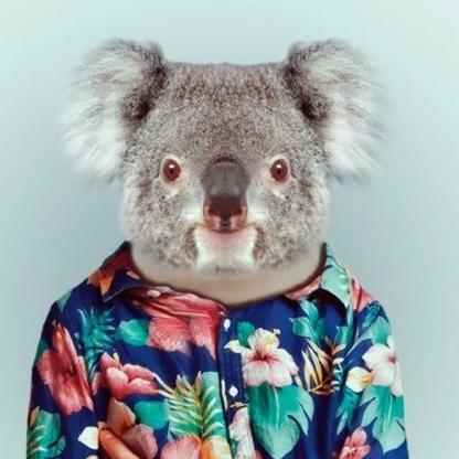 DasGunks's avatar