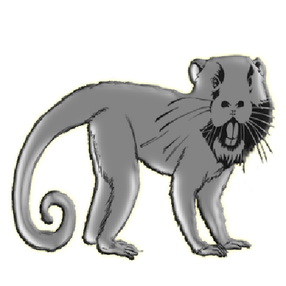 MonkyBeaver's avatar