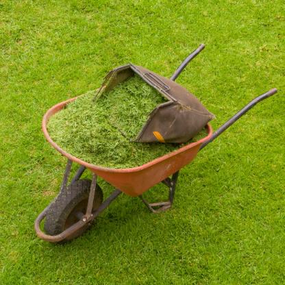 Odcieniebieli's avatar