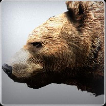 Bearherd's avatar