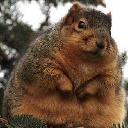 lunafirefly's avatar