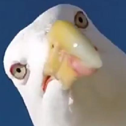 Sour_Seagull's avatar
