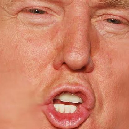 TheAwesomeTree's avatar