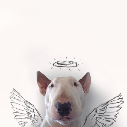 SecoteIntegral's avatar